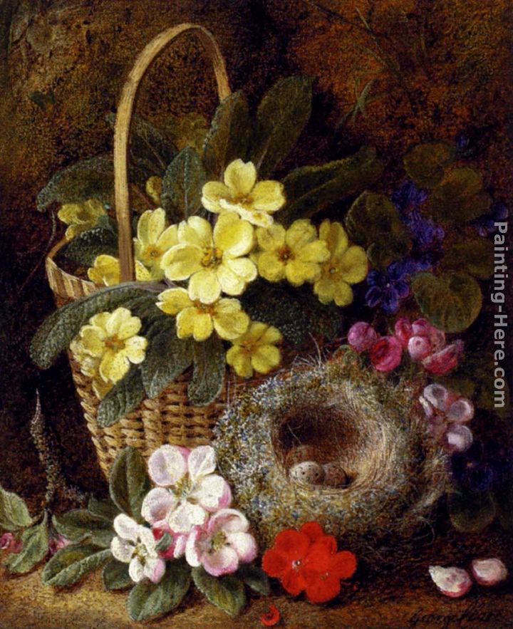 Still Life with Primroses, Violas, cherry Blossom and Geraniums and a Thrush's Nest painting - George Clare Still Life with Primroses, Violas, cherry Blossom and Geraniums and a Thrush's Nest art painting